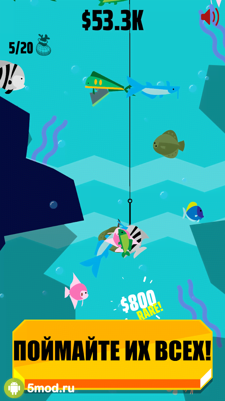 Go Fish!