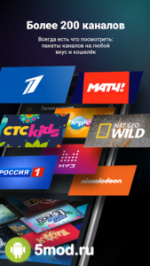 Wink — TV