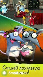 The Rats
