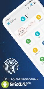 PAYEER