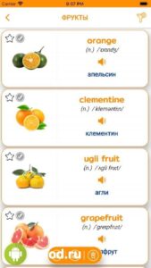 English Vocabulary