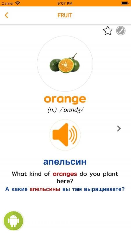 English Vocabulary