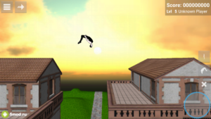 Backflip Madness