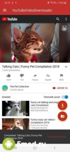 YouTube Video Downloader