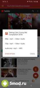 YouTube Video Downloader