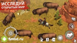 Westland Survival