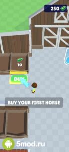 Horse Life