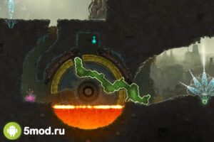 Mushroom 11